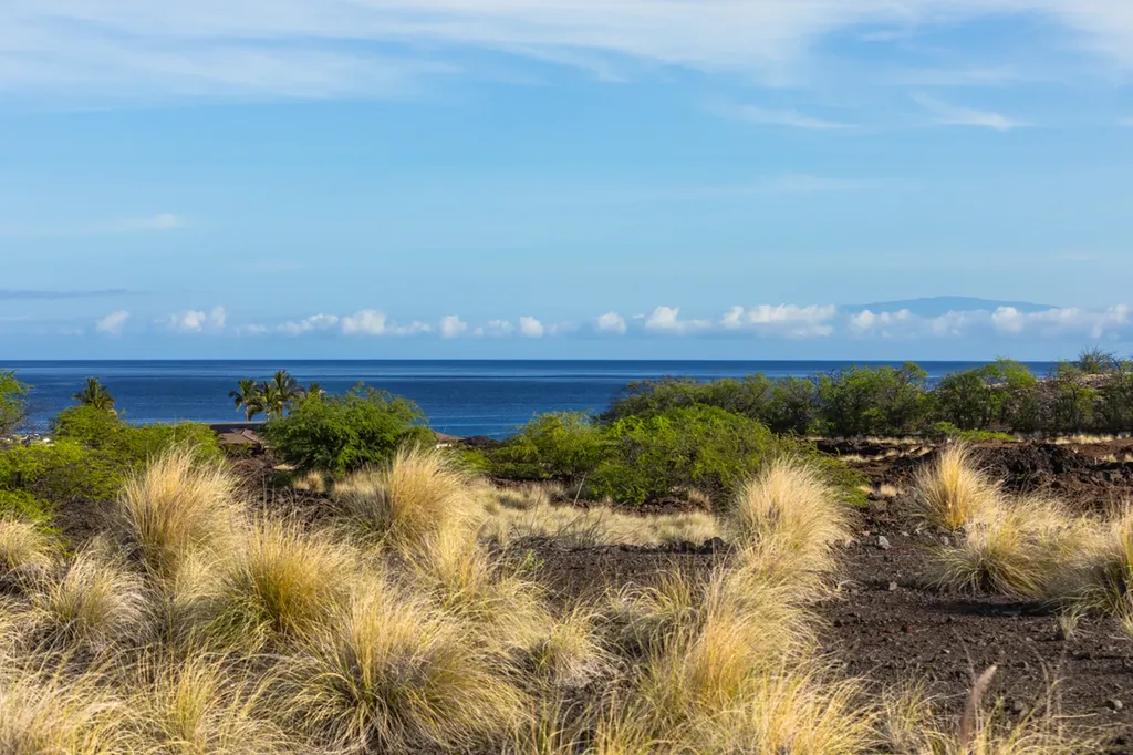72-3128 Alapii Kula Drive Kailua Kona HI 96740