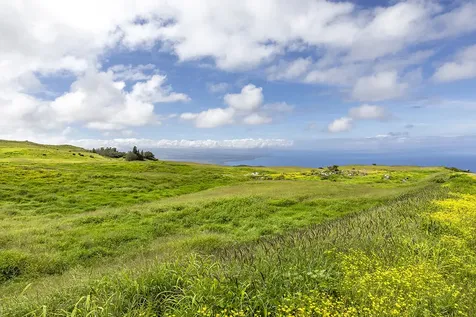 59-190 Mala Place Kamuela HI 96743