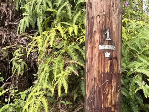 Kona Road Pahoa HI 96778