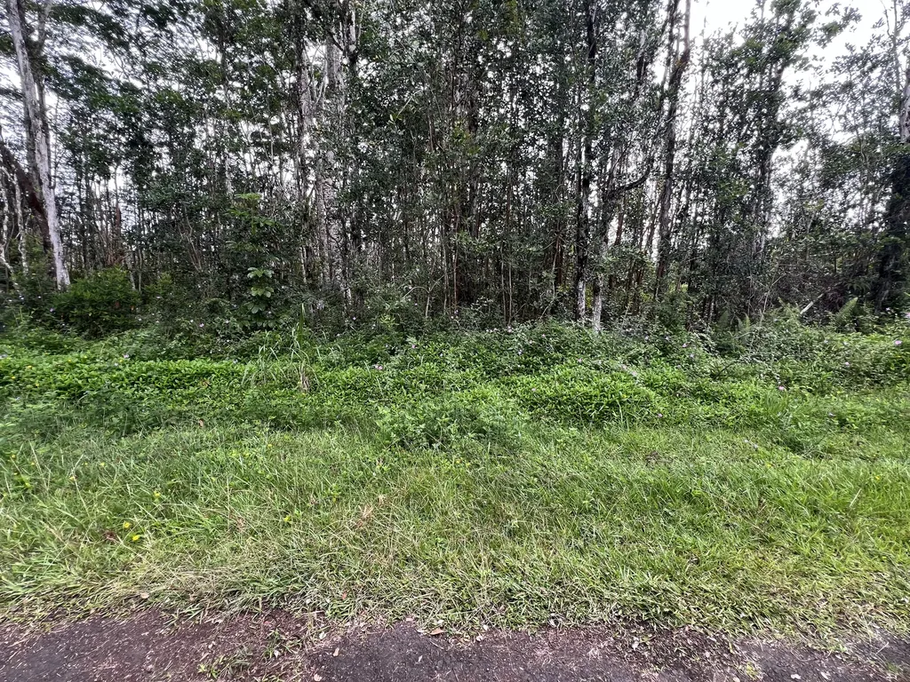 14-3565 Kona Road Pahoa HI 96778