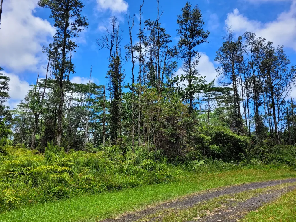 14-3383 Mayzee Road Pahoa HI 96778