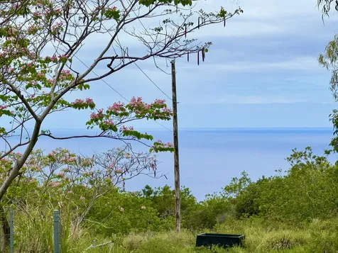 Captain Cook HI 96704