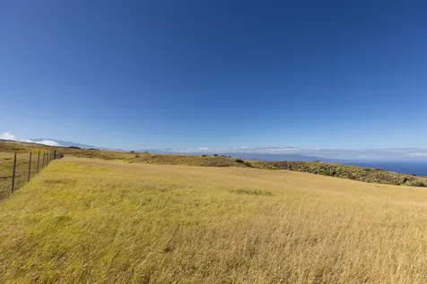 Maluhi Street Kamuela HI 96743