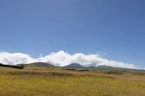 Maluhi Street Kamuela HI 96743