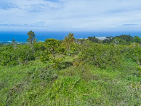 75-5430 Nalo Meli Drive Holualoa HI 96725