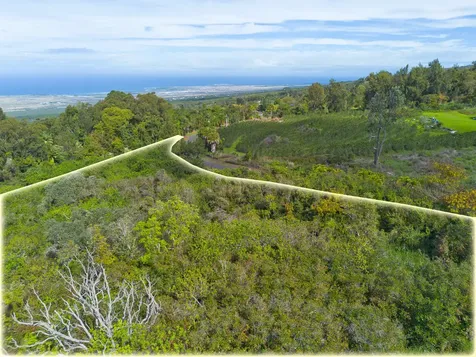 75-5430 Nalo Meli Drive Holualoa HI 96725