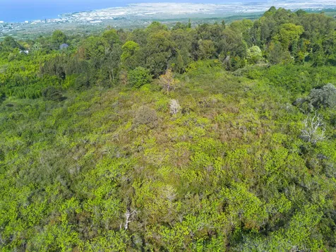 75-5430 Nalo Meli Drive Holualoa HI 96725