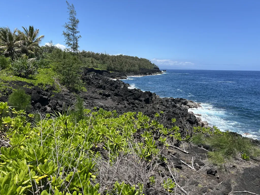 Government Beach Road Pahoa HI 96778
