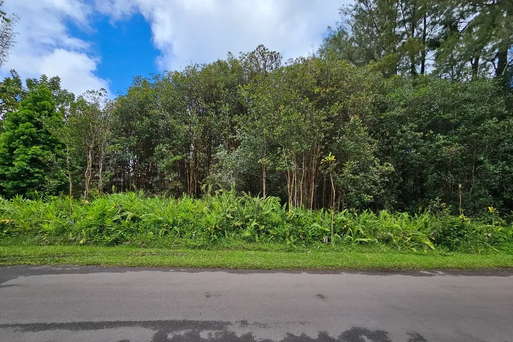 Plumeria Street Mountain View HI 96771