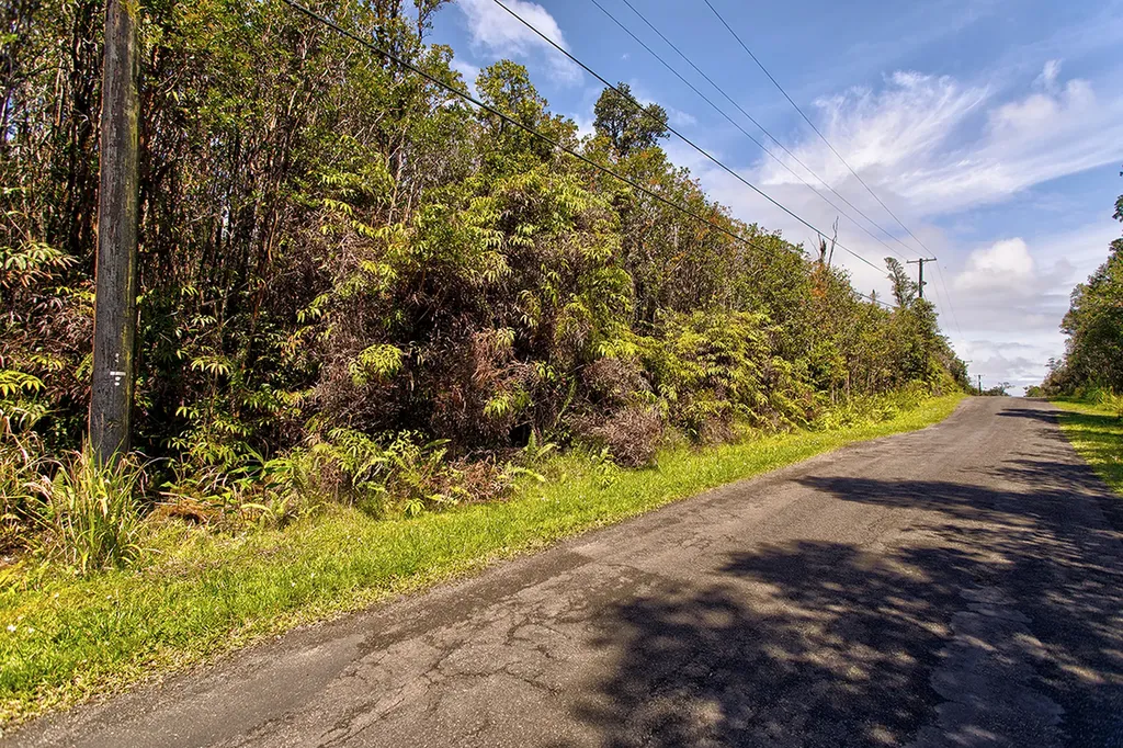 Hibiscus Street Mountain View HI 96771