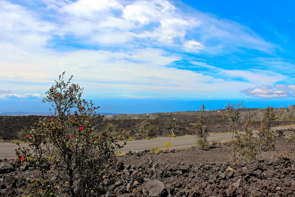Hukilau Drive Ocean View HI 96737