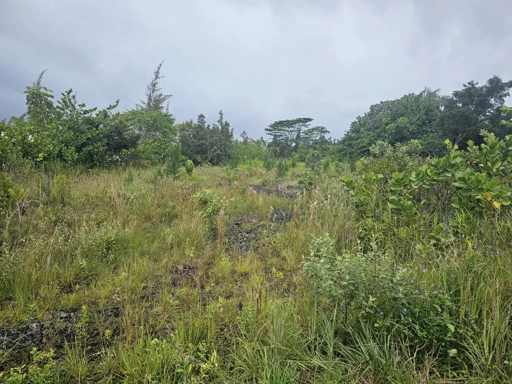 15-1682 1st Avenue Keaau HI 96749