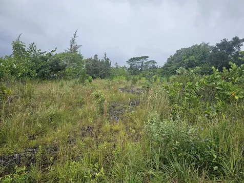 15-1682 1st Avenue Keaau HI 96749