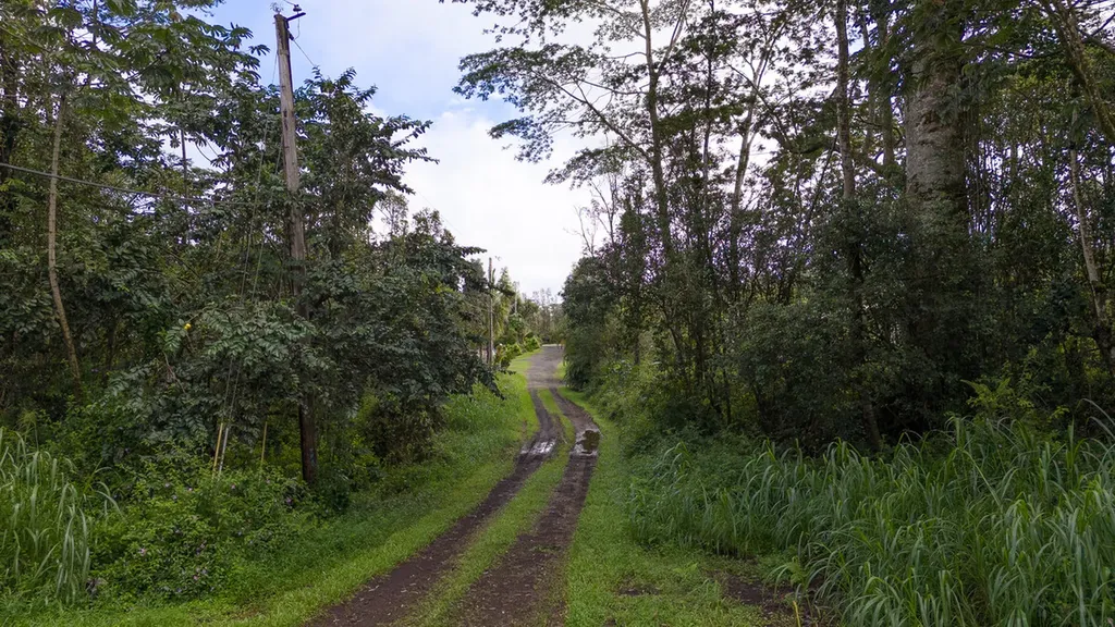 Alii Road Pahoa HI 96778