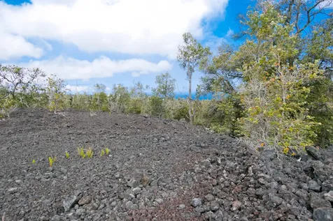 92-1574 Aloha Boulevard Ocean View HI 96737