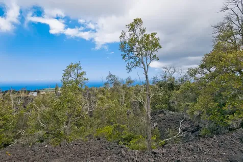 92-1574 Aloha Boulevard Ocean View HI 96737