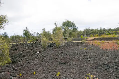 92-1574 Aloha Boulevard Ocean View HI 96737