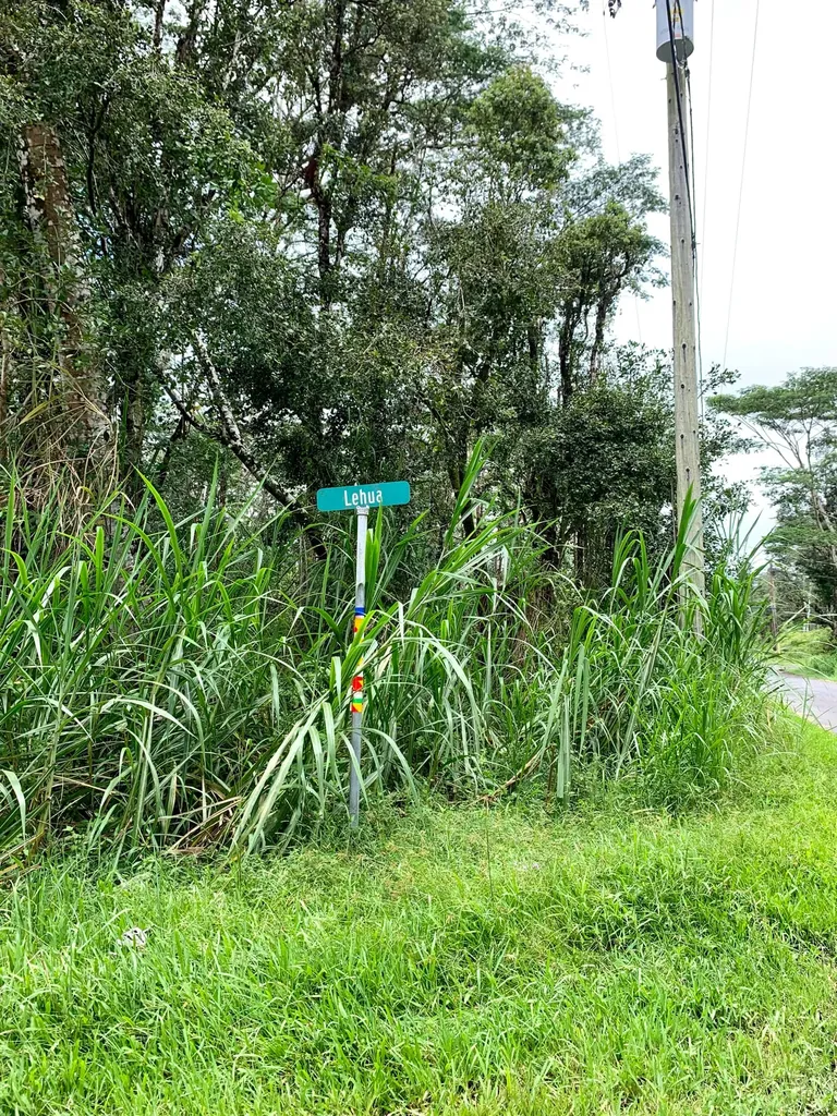Lehua Road Pahoa HI 96778