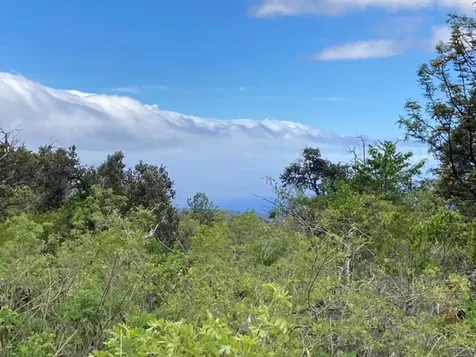 Walaka Drive Ocean View HI 96737