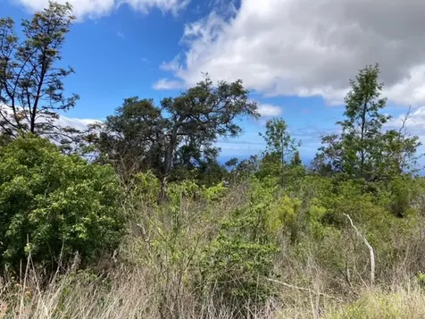 Walaka Drive Ocean View HI 96737