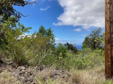 Walaka Drive Ocean View HI 96737