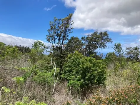 Walaka Drive Ocean View HI 96737