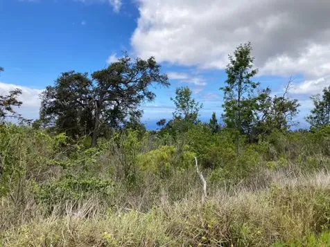 Walaka Drive Ocean View HI 96737