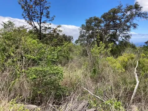 Walaka Drive Ocean View HI 96737