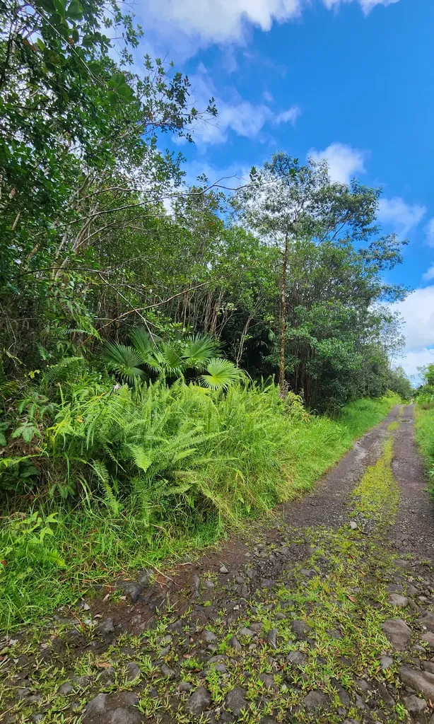 Road 9 (koloa Maoli) Mountain View HI 96760