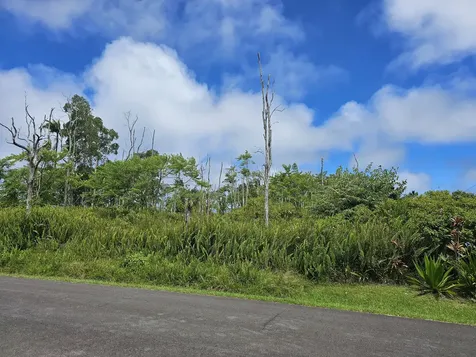 Luana Street Pahoa HI 96778