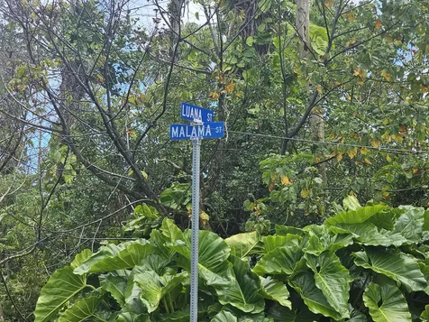 Luana Street Pahoa HI 96778
