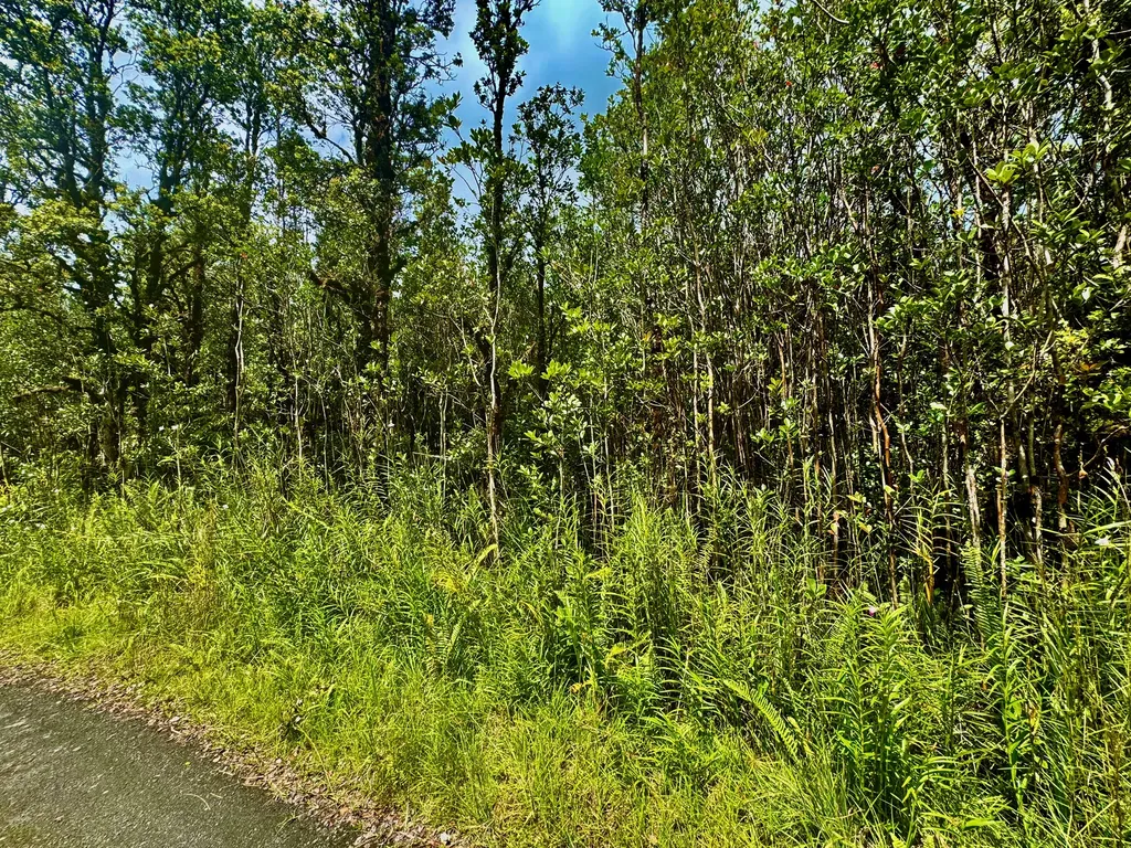 Road 2 (AO) Mountain View HI 96760