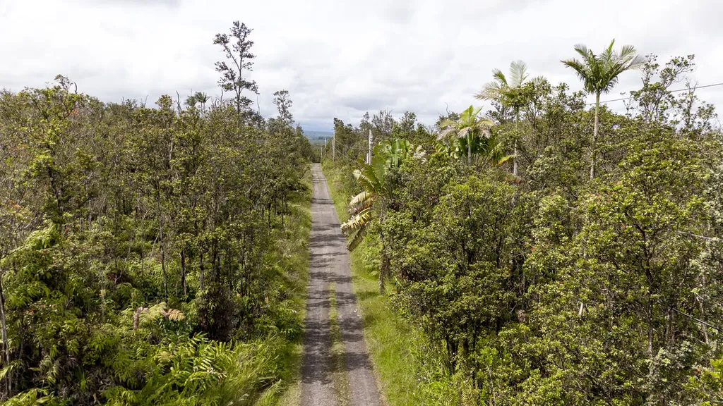 Kilinahe Road Volcano HI 96785