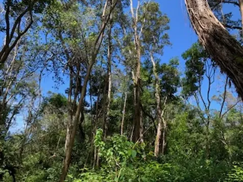 87-5001 Pahoehoe Road Captain Cook HI 96704