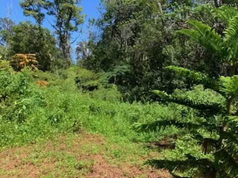 87-5001 Pahoehoe Road Captain Cook HI 96704