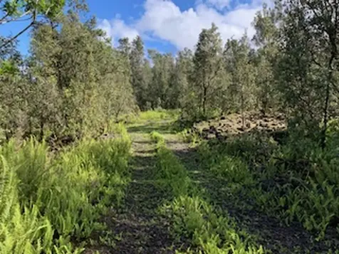 87-5001 Pahoehoe Road Captain Cook HI 96704