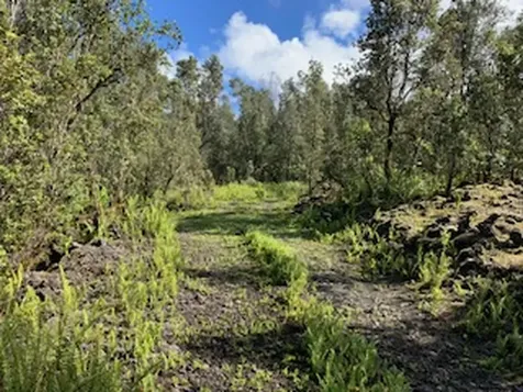 87-5001 Pahoehoe Road Captain Cook HI 96704