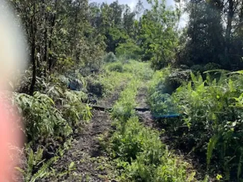 87-5001 Pahoehoe Road Captain Cook HI 96704