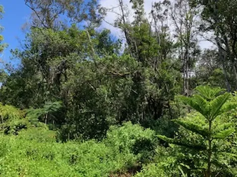 87-5001 Pahoehoe Road Captain Cook HI 96704