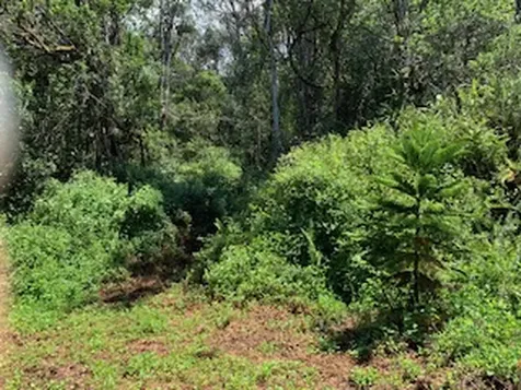 87-5001 Pahoehoe Road Captain Cook HI 96704