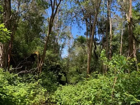 87-5001 Pahoehoe Road Captain Cook HI 96704