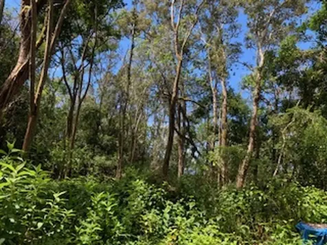 87-5001 Pahoehoe Road Captain Cook HI 96704