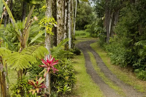 18-3935 S Kopua Road Mountain View HI 96771