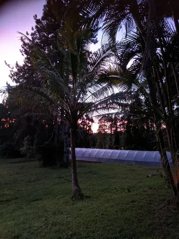 18-3935 S Kopua Road Mountain View HI 96771