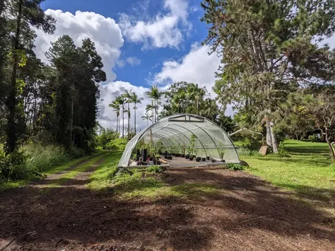 18-3935 S Kopua Road Mountain View HI 96771