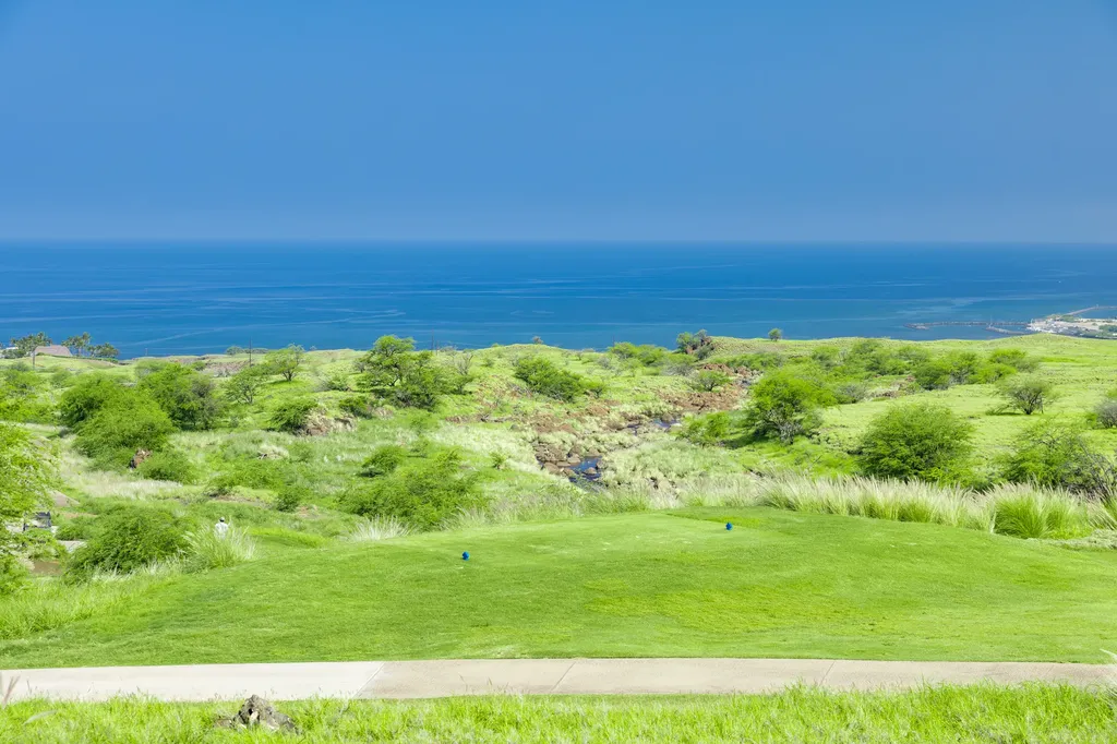 62-5176 Hapuna Place Kamuela HI 96743