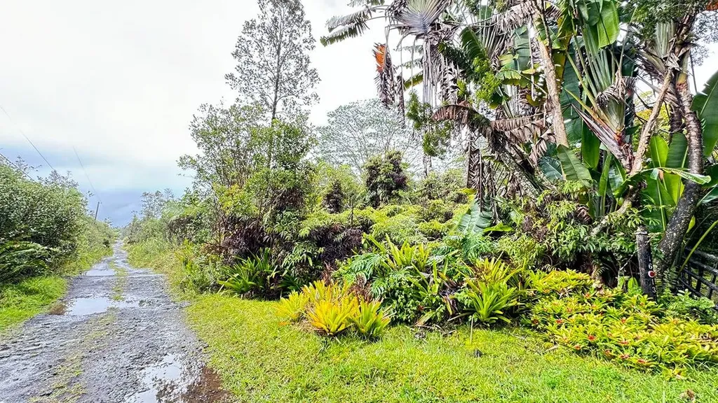 16-1382 Opeapea Road Mountain View HI 96760