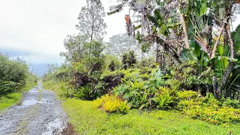 16-1382 Opeapea Road Mountain View HI 96760