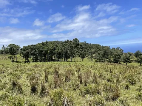 Kaalualu Road Naalehu HI 96772
