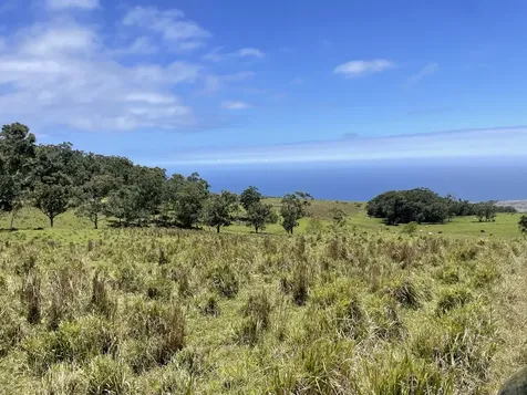 Kaalualu Road Naalehu HI 96772